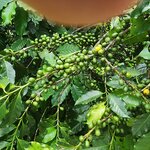 Photo taken by Gail A