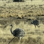 Photo taken by SUSAN L