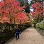 Photo taken by Beverly G