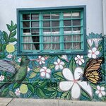 Photo taken by Catherine M