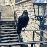 Photo taken by Robin C