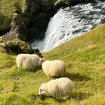 Photo taken by Janice R