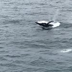 Photo taken by Sandra R