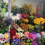 Photo taken by Kimberly A