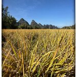 Photo taken by Fiona C