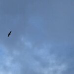 Photo taken by Devon B