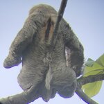 Photo taken by Anna L