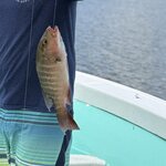 Photo taken by Dana F