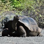 Photo taken by Natascia V