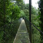 Hanging Bridges | Photo taken by Laura M