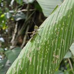 Photo taken by Touraj K