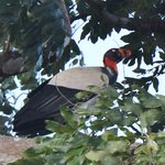 Photo taken by Graeme W