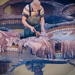 Photo taken by Colin M