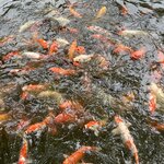 Photo taken by Susan R