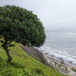 Photo taken by Susan B