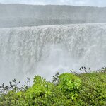 Photo taken by Donna T