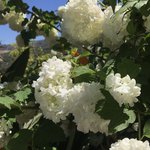 Photo taken by Victoria P