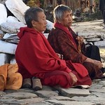 Waiting for a Royal visitor  | Photo taken by Lynne N