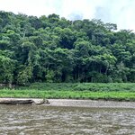 Photo taken by Rebecca G