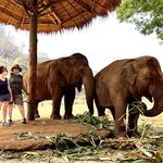 Photo taken by Felice Z