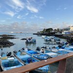 Photo taken by Lisa T