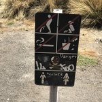 Photo taken by alton r