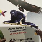 Photo taken by brian w