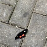 Photo taken by Brian L