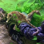 Photo taken by Julie H