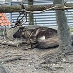 Photo taken by Meryl F