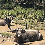 Photo taken by Jeroen v