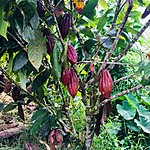 Photo taken by Marcia G