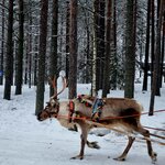 Photo taken by Bianca C