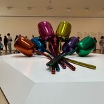 Photo taken by Sean S