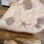 Photo taken by Laura S