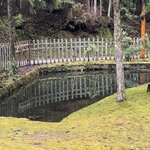 Photo taken by Kirti P