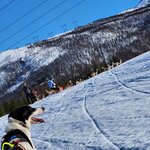 Photo taken by Sharon S