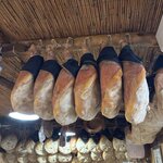 Photo taken by Judith C