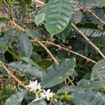 Photo taken by Linda P