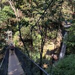 Photo taken by Joy E