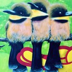 Photo taken by Kristin T