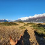 Photo taken by Devon B