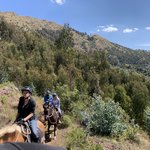 Photo taken by Mike B