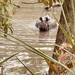 Photo taken by don m