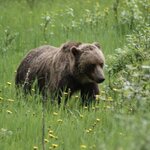 Photo taken by Debbie W