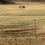 Photo taken by Laura O