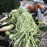 Veggies | Photo taken by Lisa D