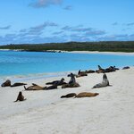 Photo taken by Lee B