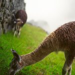 Photo taken by Savana H