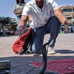 Snake Charmers in Jemaa El-Fna | Photo taken by Jordan A